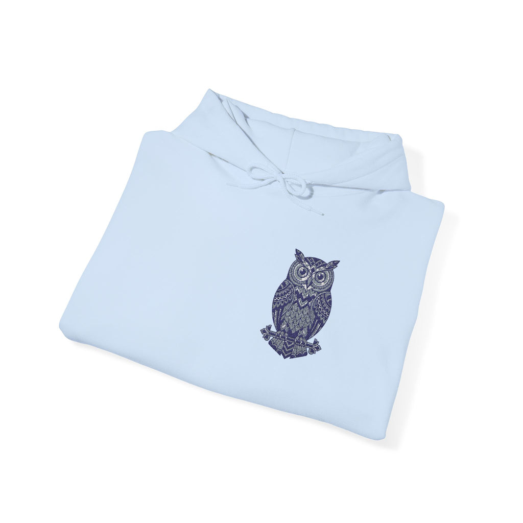 Light blue unisex owl hoodie, small owl chest graphic with drawstring hood