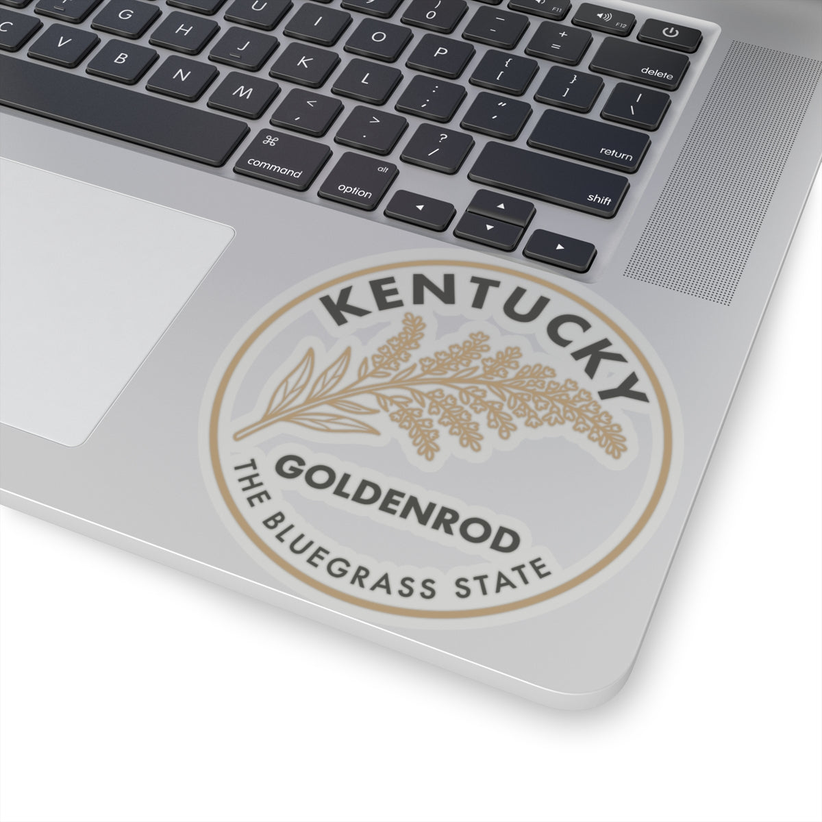 Goldenrod state flower sticker on laptop lid with Kentucky Bluegrass State text