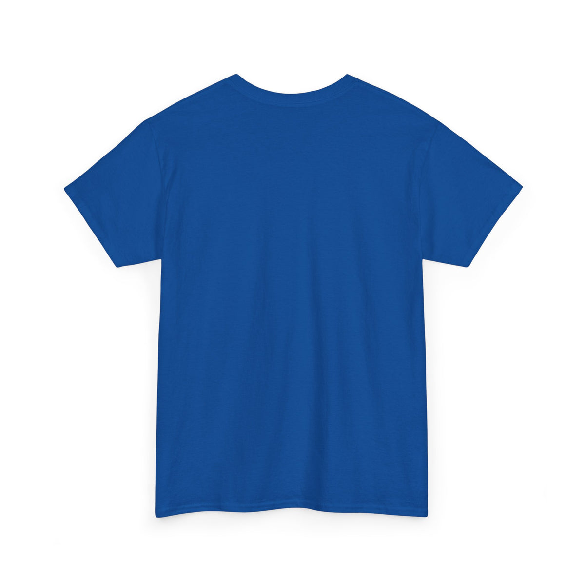 Men's superhero T-shirt in blue, short sleeves, crew neck; plain back view.
