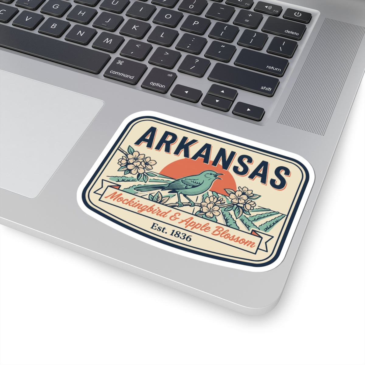 Arkansas vintage state badge sticker on a laptop, showing “Mockingbird & Apple Blossom”