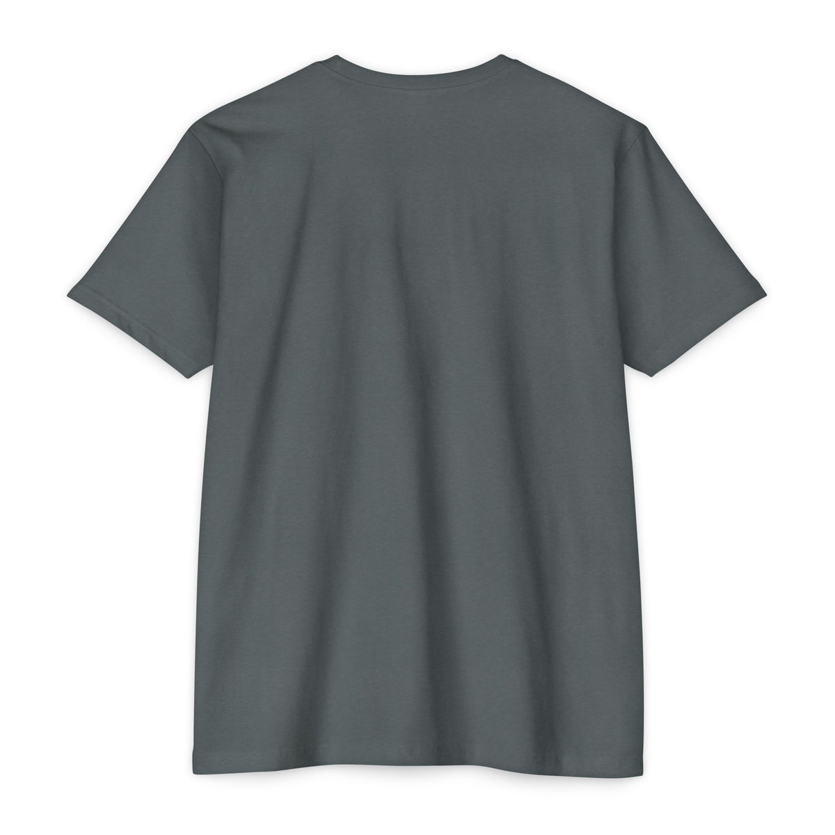Charcoal crew-neck T-shirt, plain front view