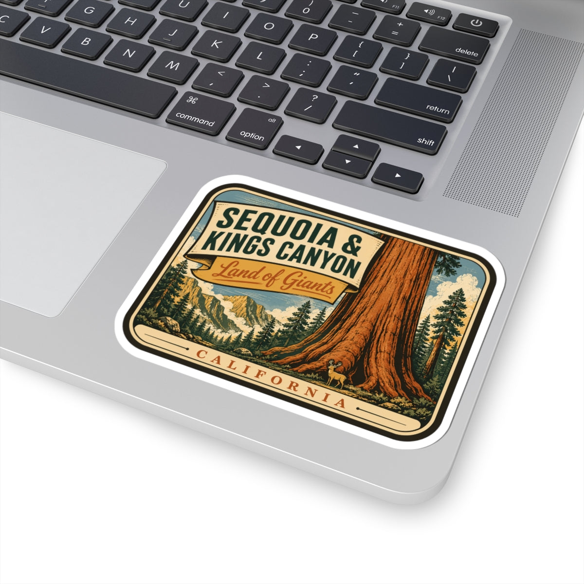 Sequoia & Kings Canyon travel sticker on laptop keyboard, vintage redwood and California text