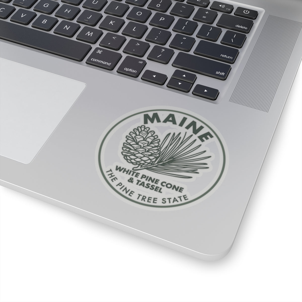 Maine white pine cone and tassel sticker centered on laptop lid, circular transparent vinyl decal