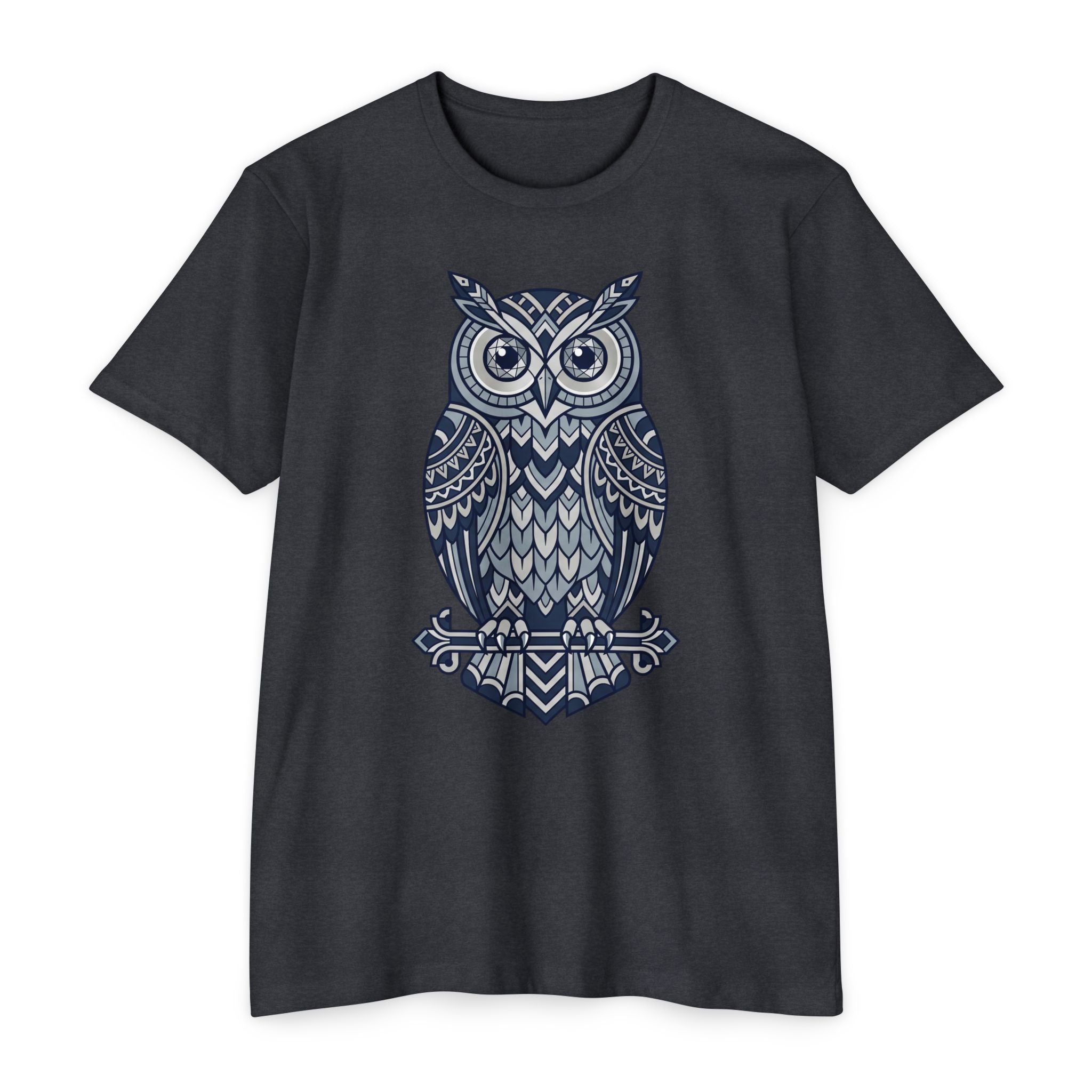 Graphic owl T-shirt, charcoal crew neck short sleeves, blue owl graphic