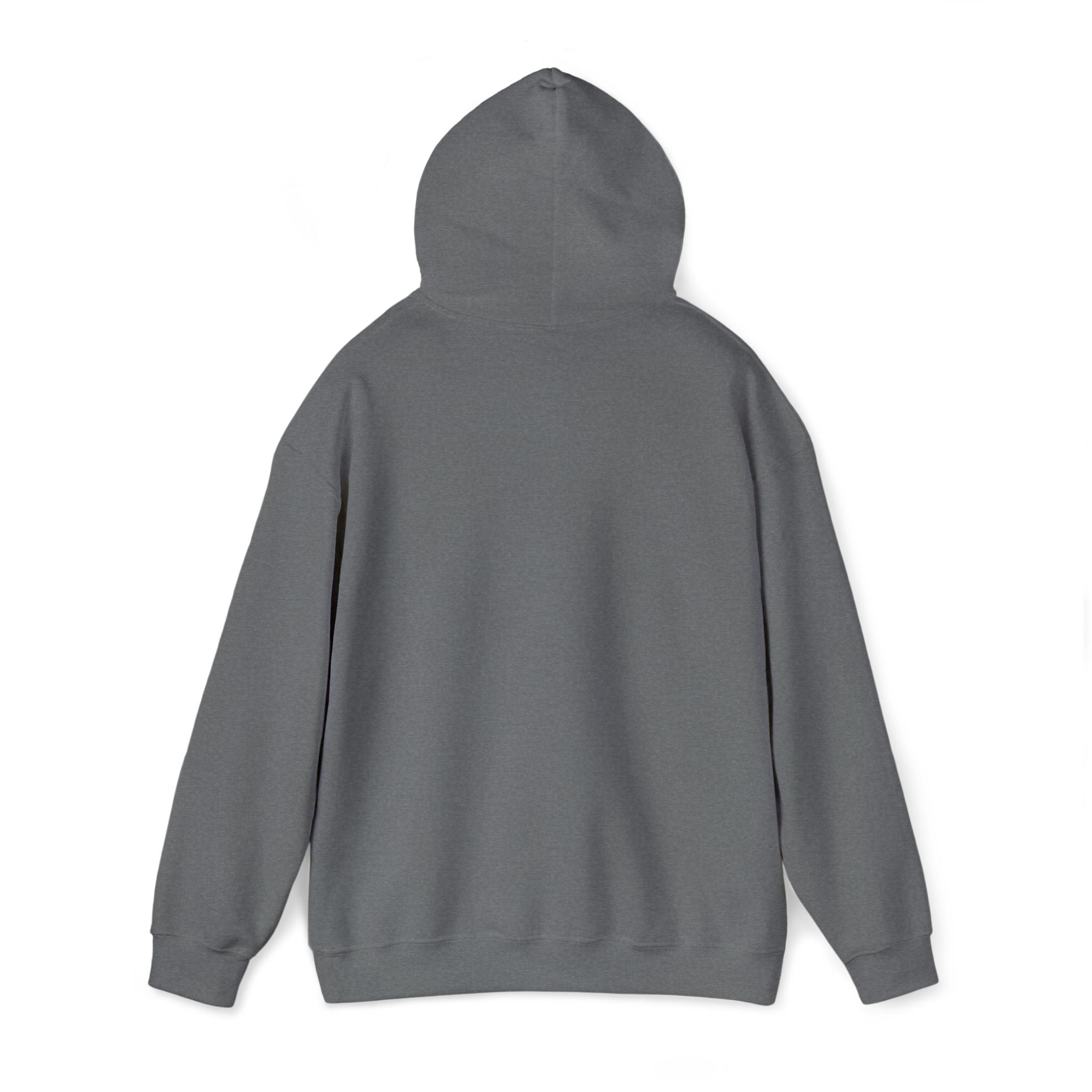Charcoal gray unisex hoodie with hood and long sleeves, back view