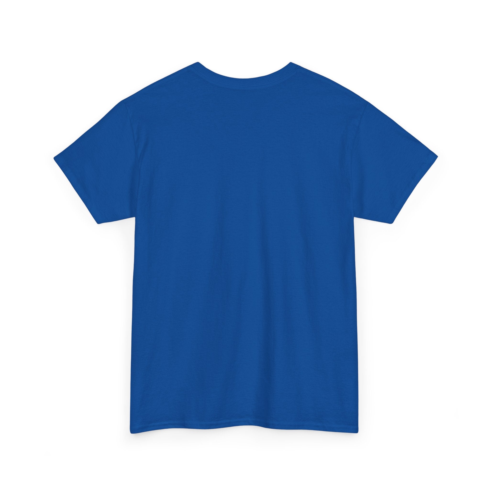 Royal blue T-shirt with plain back view