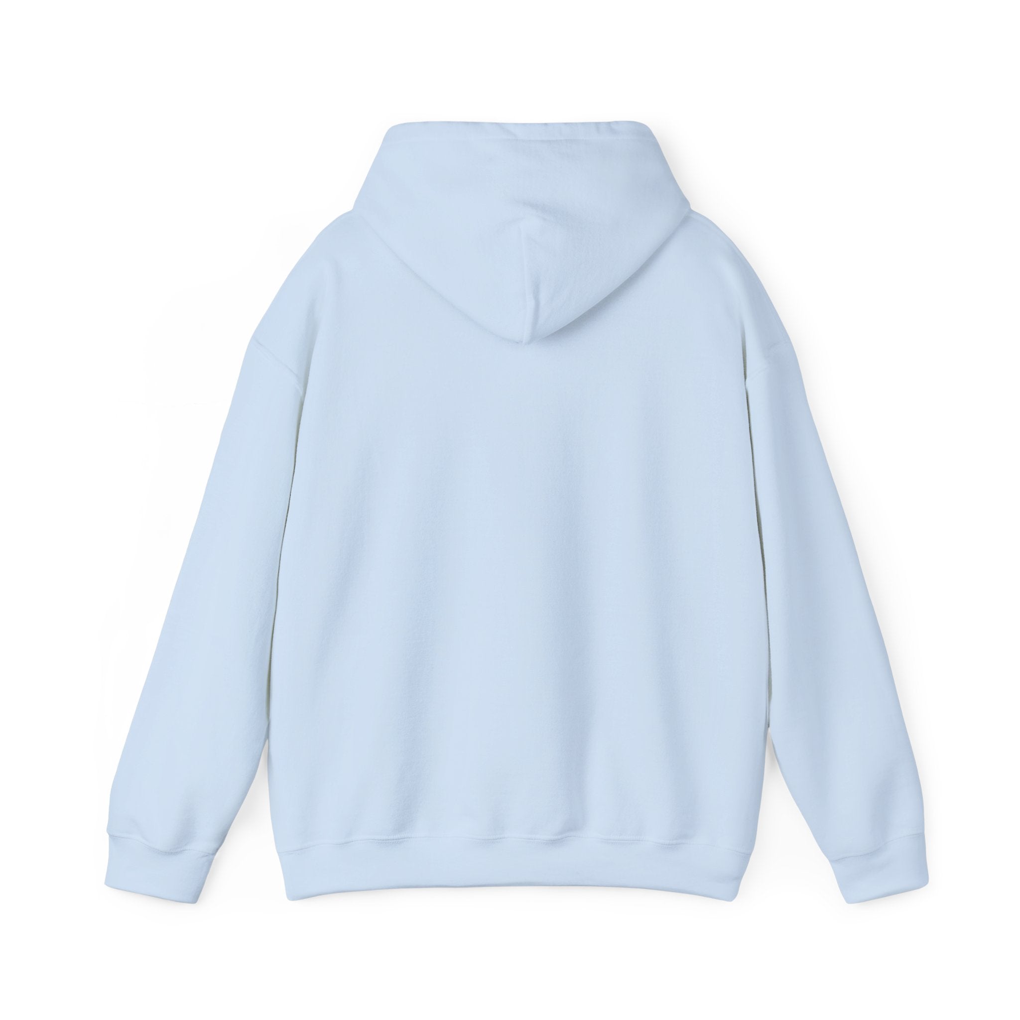 Light blue pullover hoodie with kangaroo pocket and hood