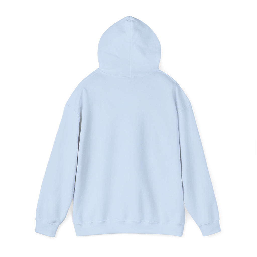 Light blue hoodie with hood, no visible front graphic