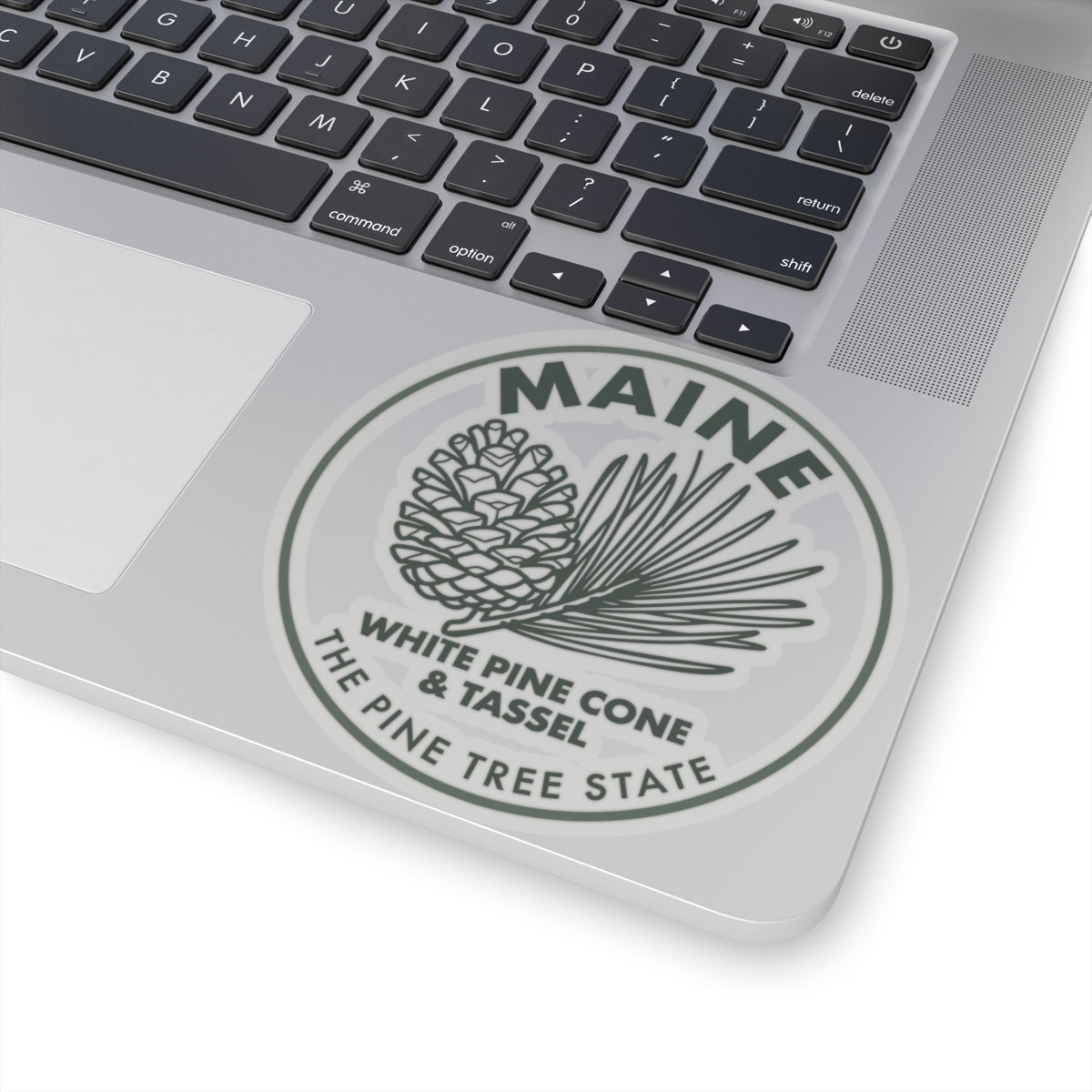 Maine white pine cone and tassel transparent vinyl sticker on laptop lid, circular design