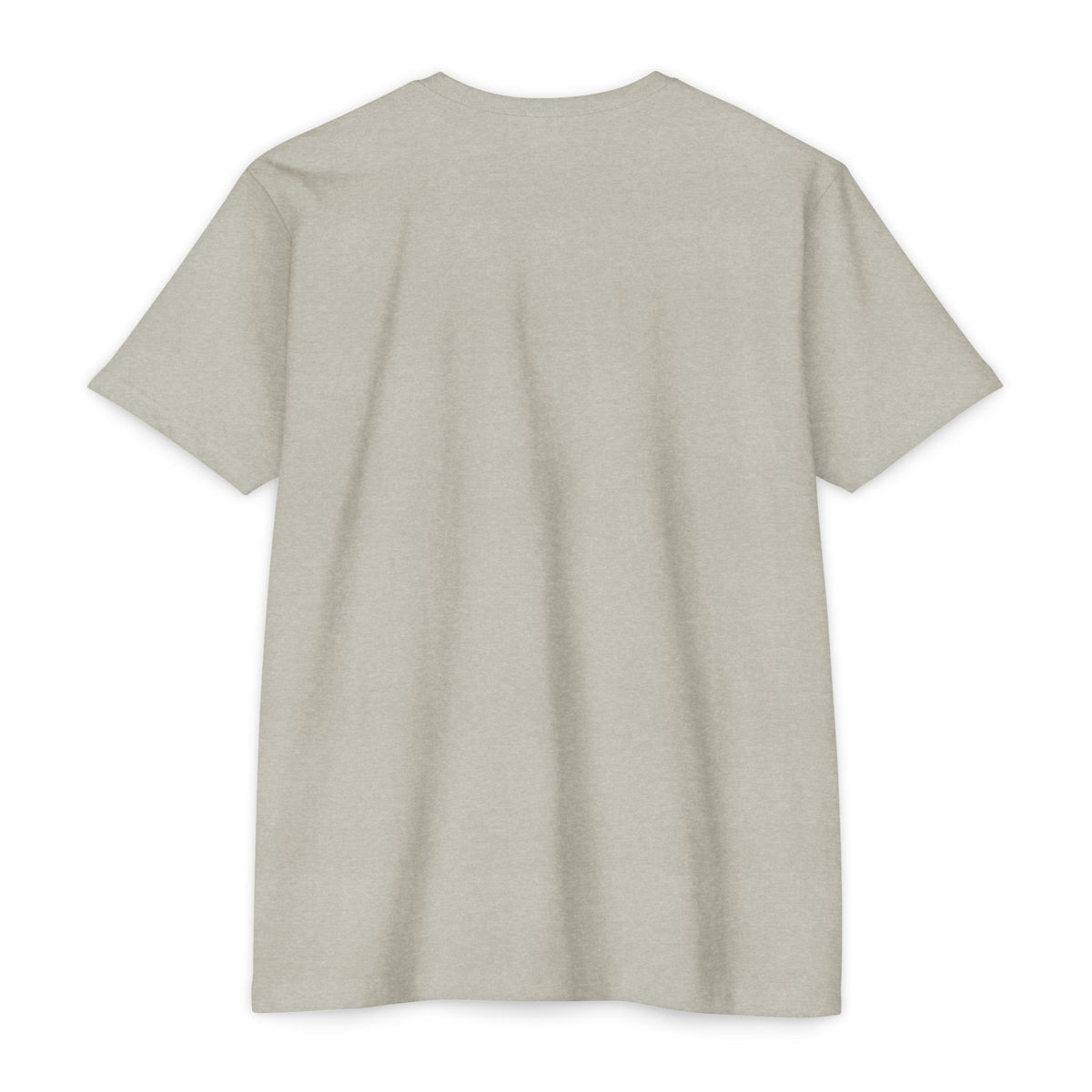 Light gray short-sleeve T-shirt, blank back