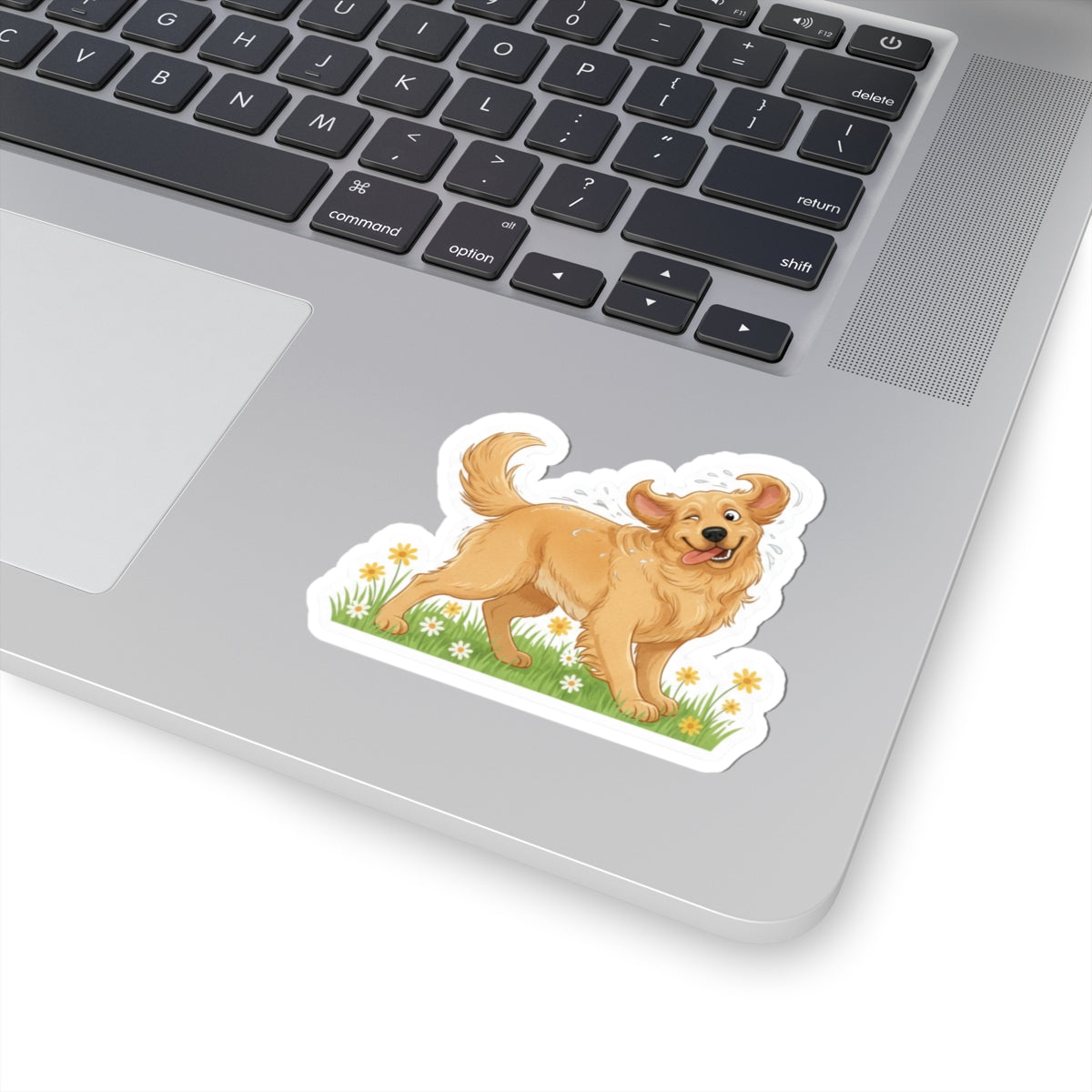 Golden Retriever shaking off sticker with white backing; smiling dog and water splash
