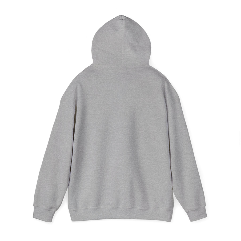 Heather gray hoodie with drawstring hood and ribbed hem, plain back