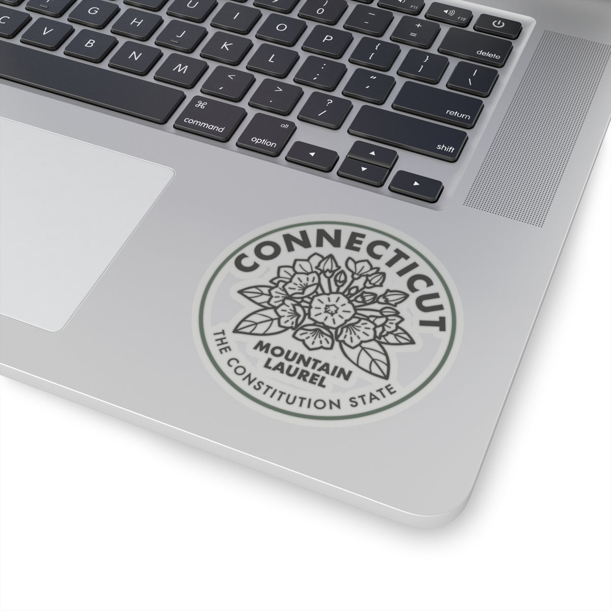 Round green-bordered Connecticut seal sticker on a laptop lid with mountain laurel art