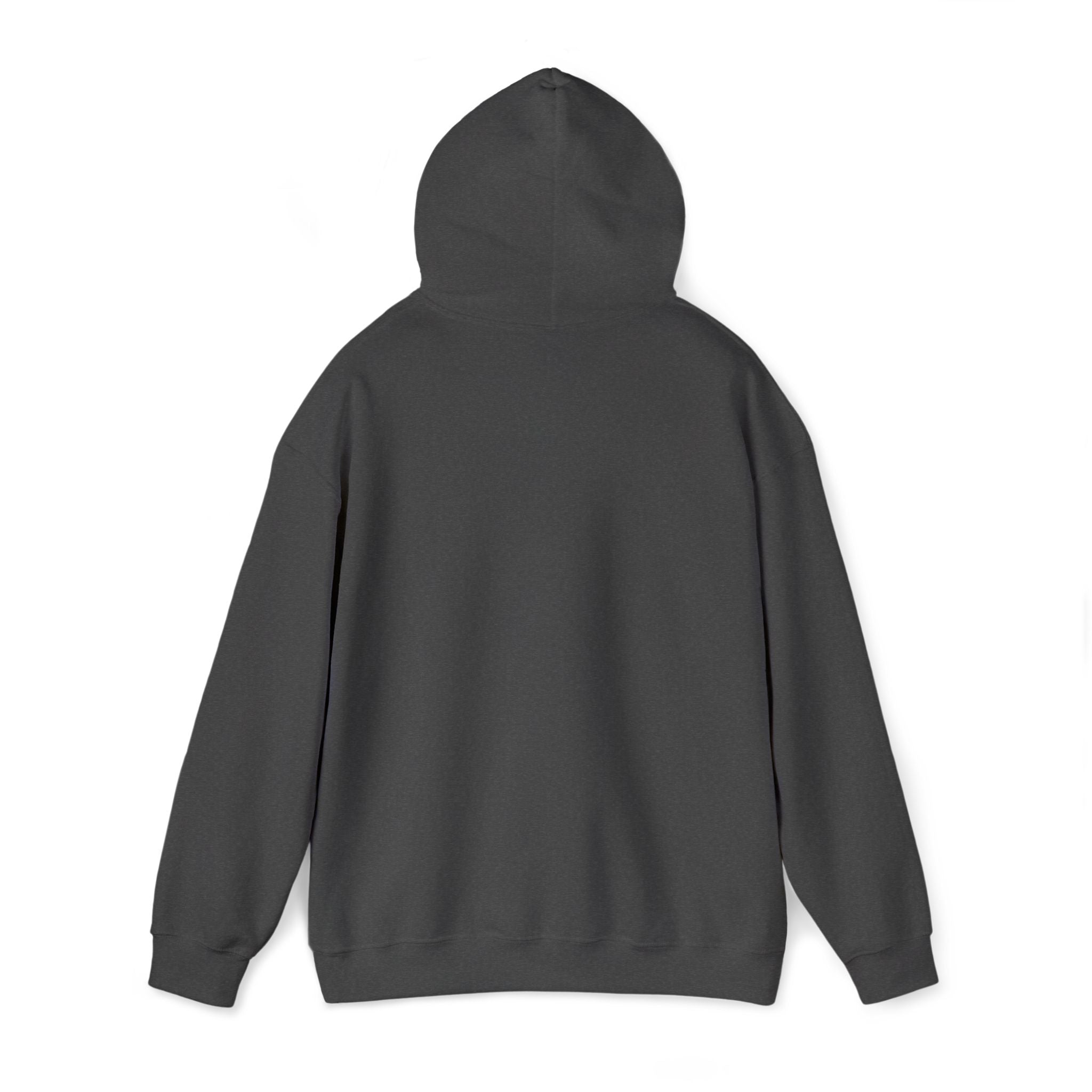 Dark gray unisex pullover hoodie, back view with hood