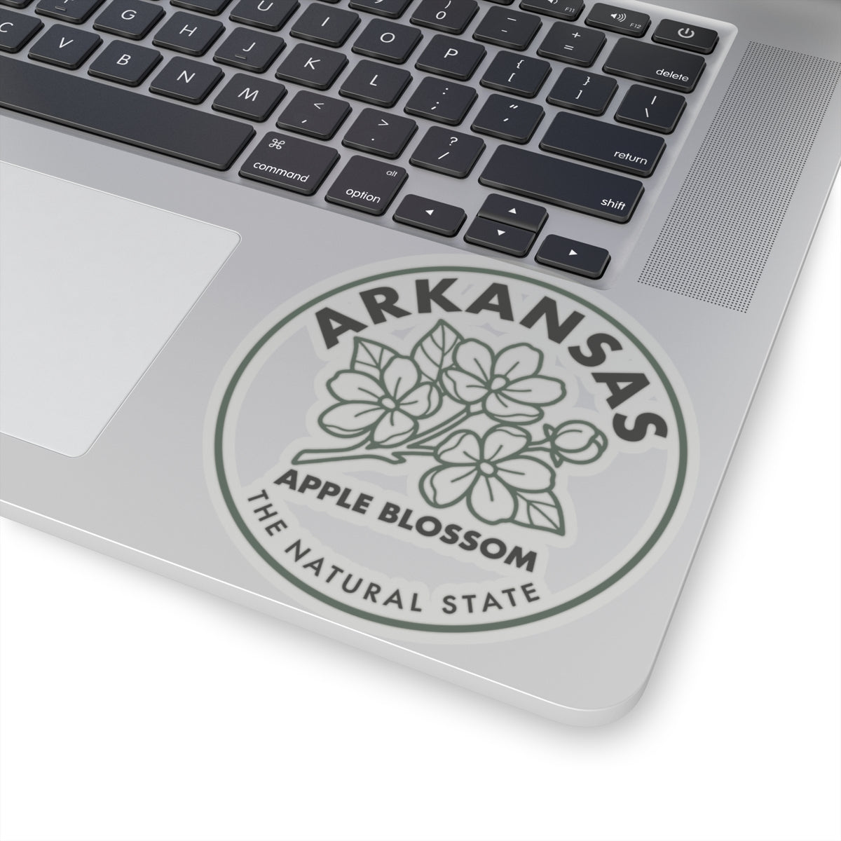 Circular Arkansas apple blossom sticker on laptop, showing blossoms and “THE NATURAL STATE.”