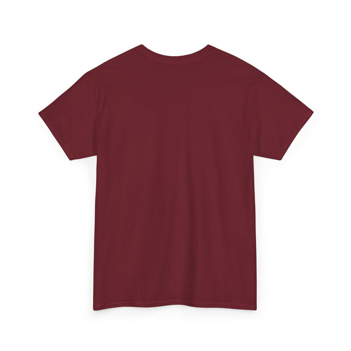National Park After Dark Campfire Concert T-Shirt, Bear and Elk Mountain Camping Shirt for Men and Women, Hiking Gift Tee