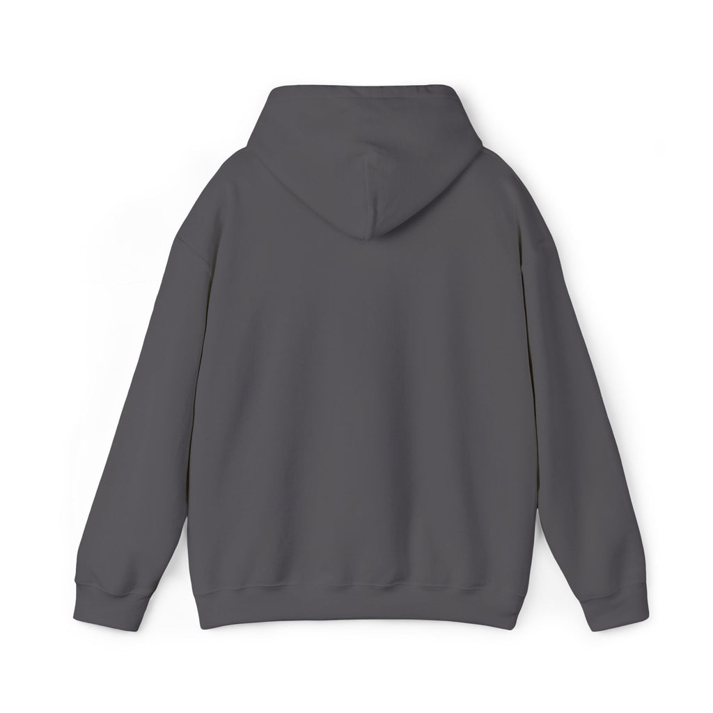 Dark gray pullover hoodie with hood, long sleeves, and front kangaroo pocket