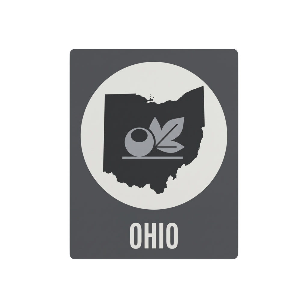 Ohio metal wall art sign with dark gray rectangle, circular state graphic, and “OHIO” text.