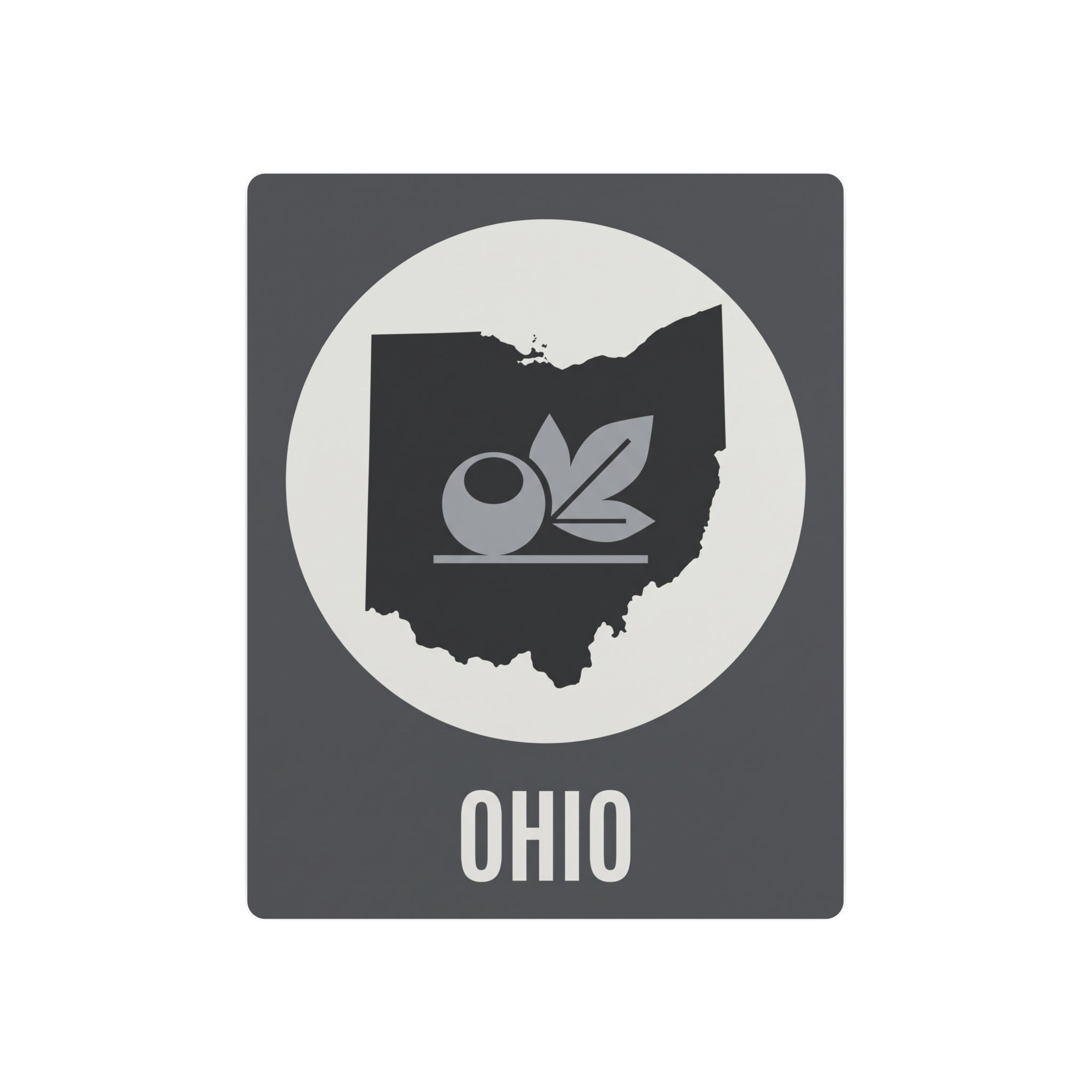 Ohio metal wall art sign with dark gray rectangle, circular state graphic, and “OHIO” text.