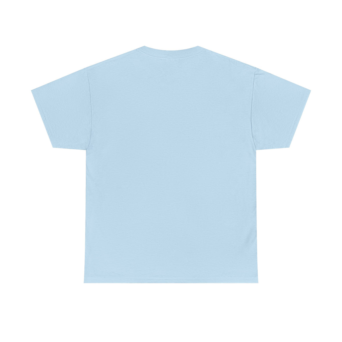 Light blue short-sleeve T-shirt, plain back view