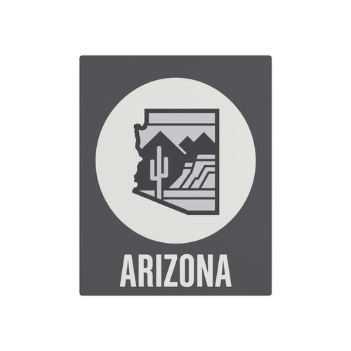 Dark gray square metal wall art with white circle and Arizona cactus desert silhouette, “ARIZONA”