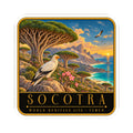 Rounded vinyl decal showing pelican, dragon blood tree, colorful sunset coastline.