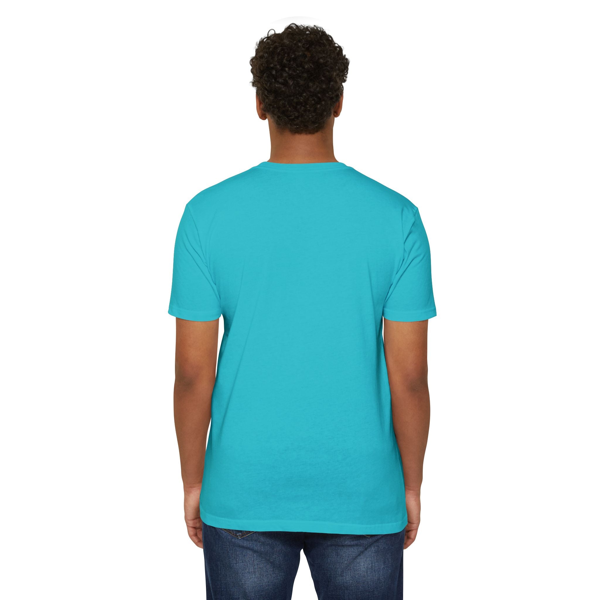 Men's teal T-shirt, short-sleeve crew neck, plain back view