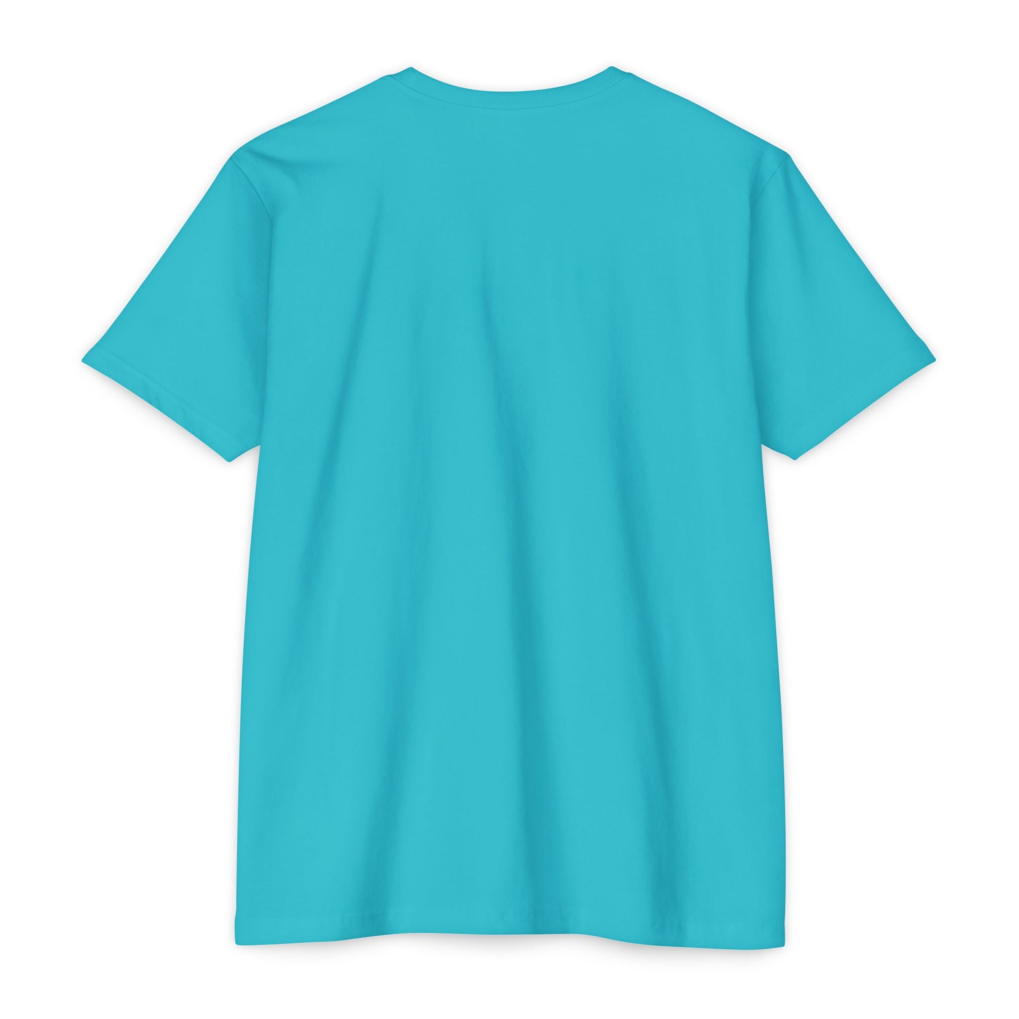 Men's teal short-sleeve crew neck T-shirt, plain front