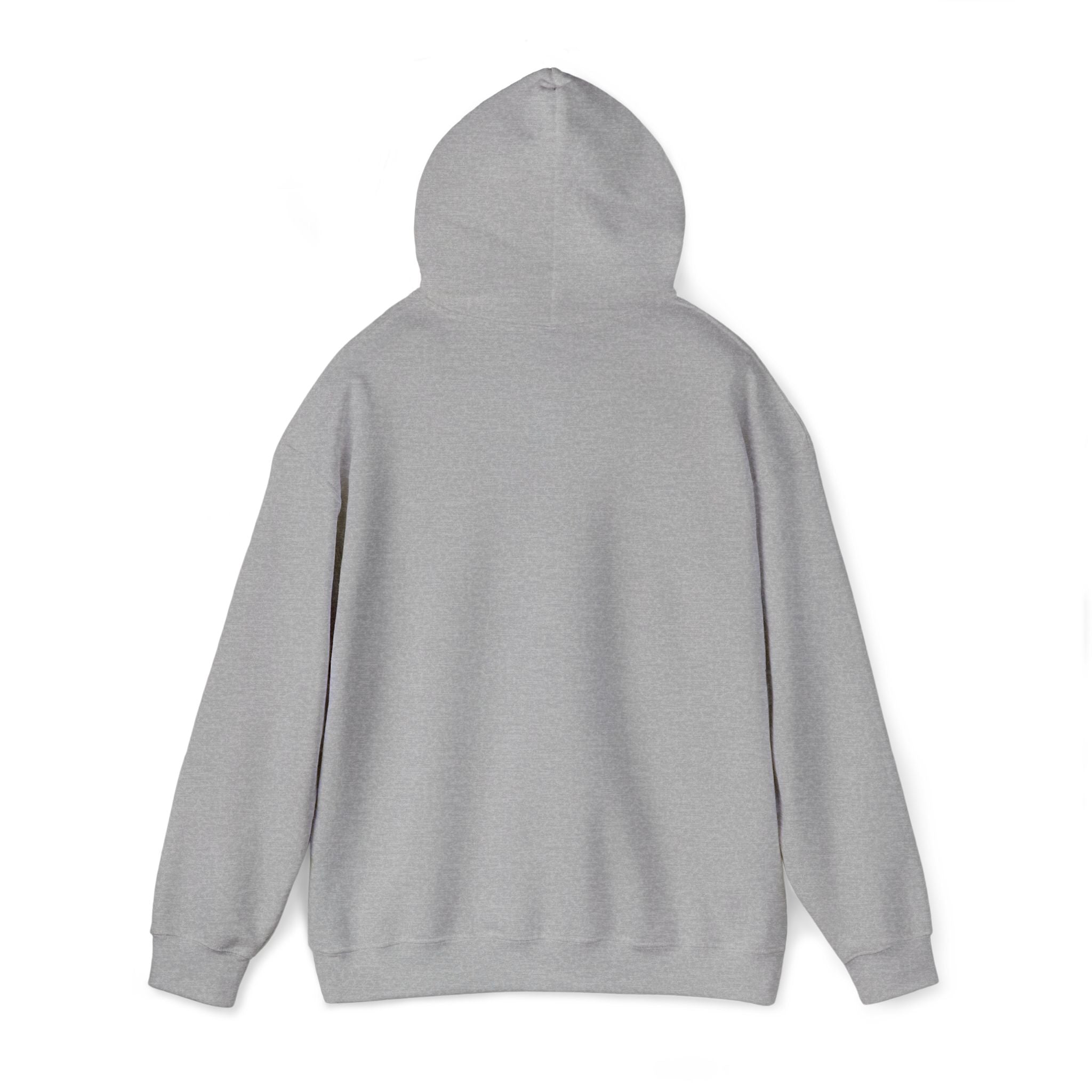 Gray back view pullover hoodie with hood and long sleeves