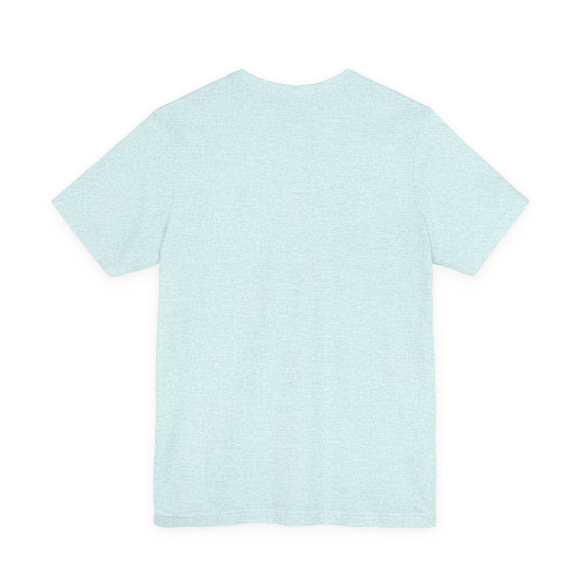 Light blue T-shirt with plain back